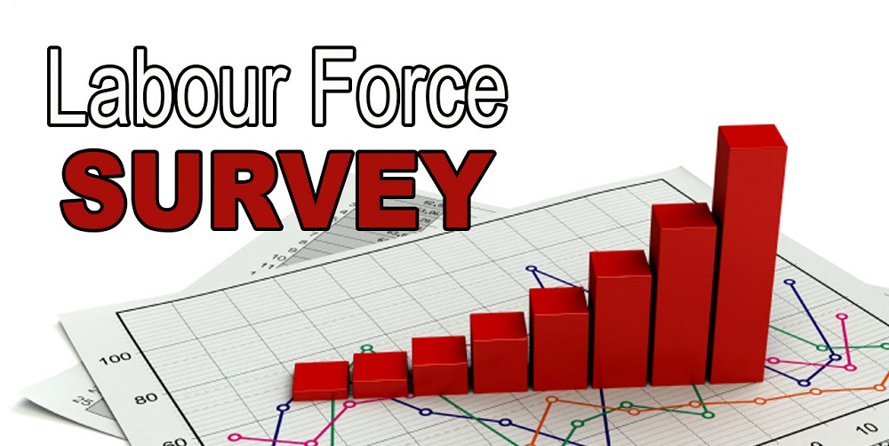 Read more about the article Periodic Labour Force Survey