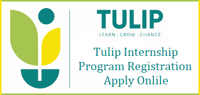 Read more about the article TULIP