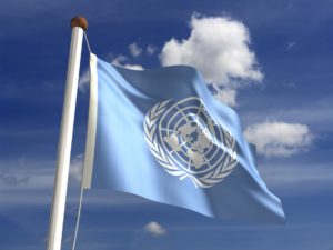 Read more about the article 75 Years of UN