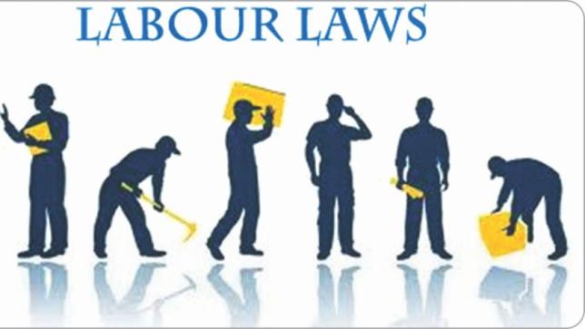 You are currently viewing Labour laws: Challenges And Measures in Employment and Labour Workforce Sector
